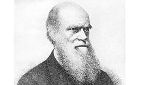 Kookrecept Charles Darwin op internet