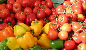 Samenwerking Vitam Catering en versketen