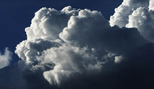 Topbedrijven licht bezorgd over toekomst