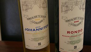 StoereVrouwen zoeken eerlijke wijn