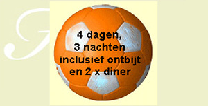 Holland Hotels mikt op EK-haters