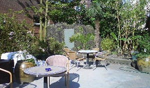 Tropische tuin voor Top-100 café Schiller