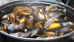 Bob Hutten en Sligro willen bijzonder wereldrecord