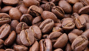 Supermarktprijsvechter start koffieformule