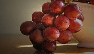 Hotel betaalt €600 voor tros druiven