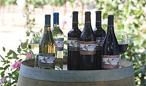 Wijngroep Baarsma aast op overnames