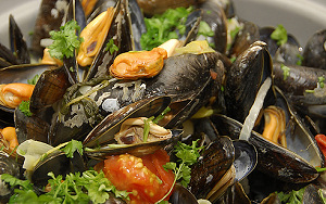 Zorgen op mosseldag Yerseke