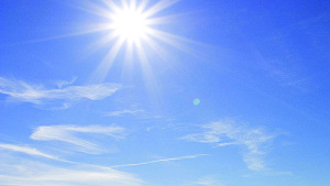 Zelfmoord Belgische topkok