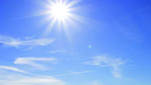 Zelfmoord Belgische topkok