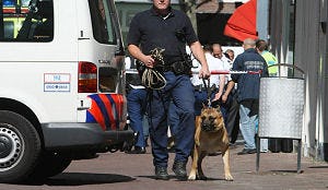 Zes arrestaties bij bestorming café Den Bosch