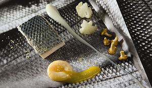 Treeswijkhoeve brengt stijlboek uit