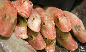 Eten van vis niet zonder risico