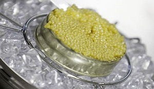 Persian Caviar staakt handel vanuit Iran