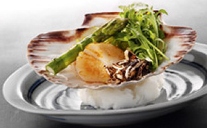 Sazanka (Okura) brengt boek uit