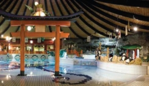 Facelift en 300 kamers voor DeSmelt