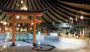 Facelift en 300 kamers voor DeSmelt