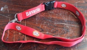 Voetbalclub Bavaria en PSV helpt amateurs