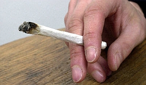 Wietexperiment strookt niet met regeerakkoord