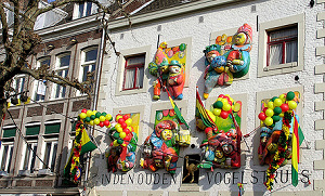 Excessen bij carnaval aangepakt