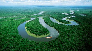 Topkok voorspelt opmars producten uit Amazonegebied