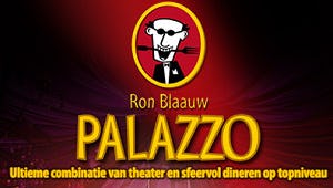 Ron Blaauw stopt met Palazzo