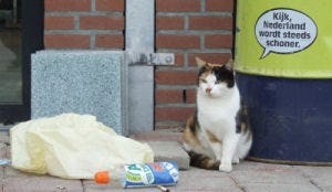 Campagne voor snackbar zonder zwerfafval