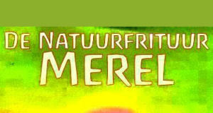 Biologisch patatje met veganistische mayo