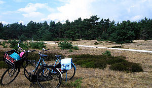 700.000 Mensen minder weg in de meivakantie