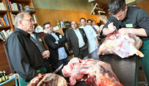 Topkoks krijgen les in Iers rundvlees