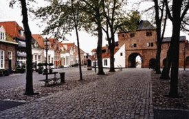 Basiliek niet blij met komst meer restaurants