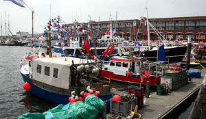 Vlaggetjesdag gaat door