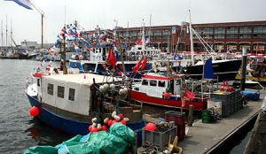 Vlaggetjesdag gaat door