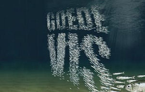 100 restaurants nemen deel aan actie Goed Vismenu