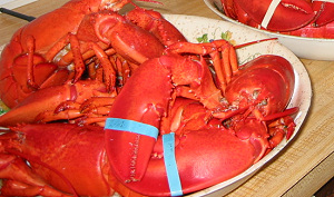 Crisismenu: stunten met kreeft en asperges