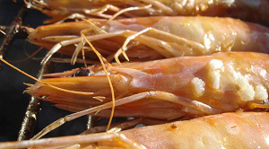 Eerste Nederlands 'eerlijk' visrestaurant