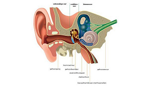 Controle op te hard geluid in disco's