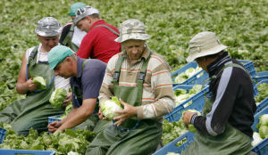 Succesvol hotel voor Polen serveert vet vlees