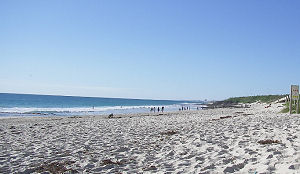 Stranden onderscheiden voor eigen, groene smoel