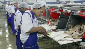 Visafslag Oostende niet in Urker handen