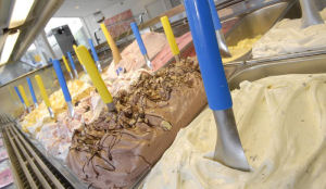 IJssalon Intermezzo wil groeien met Frezzo