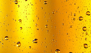 Brouwers in race voor titel Brabantse held van de smaak