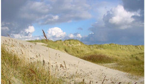 Waddenzee op lijst werelderfgoed