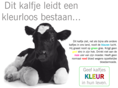 Wakker Dier vraagt groothandels te stoppen met blank kalfsvlees