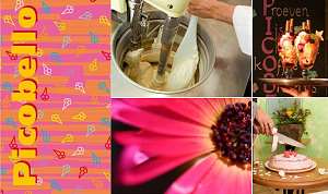 IJssalons in Terras Top-100