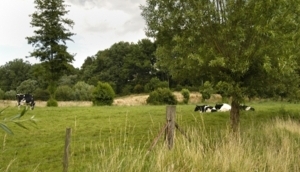 Bezinningstoerisme moet 15 miljoen opleveren