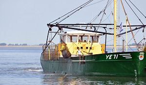 Mosselsector klaar voor innovatieslag