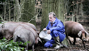 Ibericovarkens slager Sjek Floor op tv