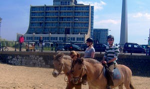 Carlton Beach lanceert paardenarrangement