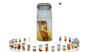 Bizarre tentoonstelling: Snacks op sterk water