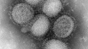 Geen kerstdiner door Mexicaanse griep